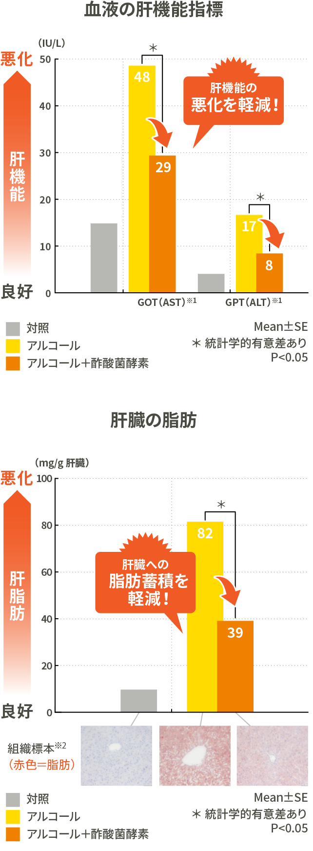 血液の肝機能指標と肝臓の脂肪