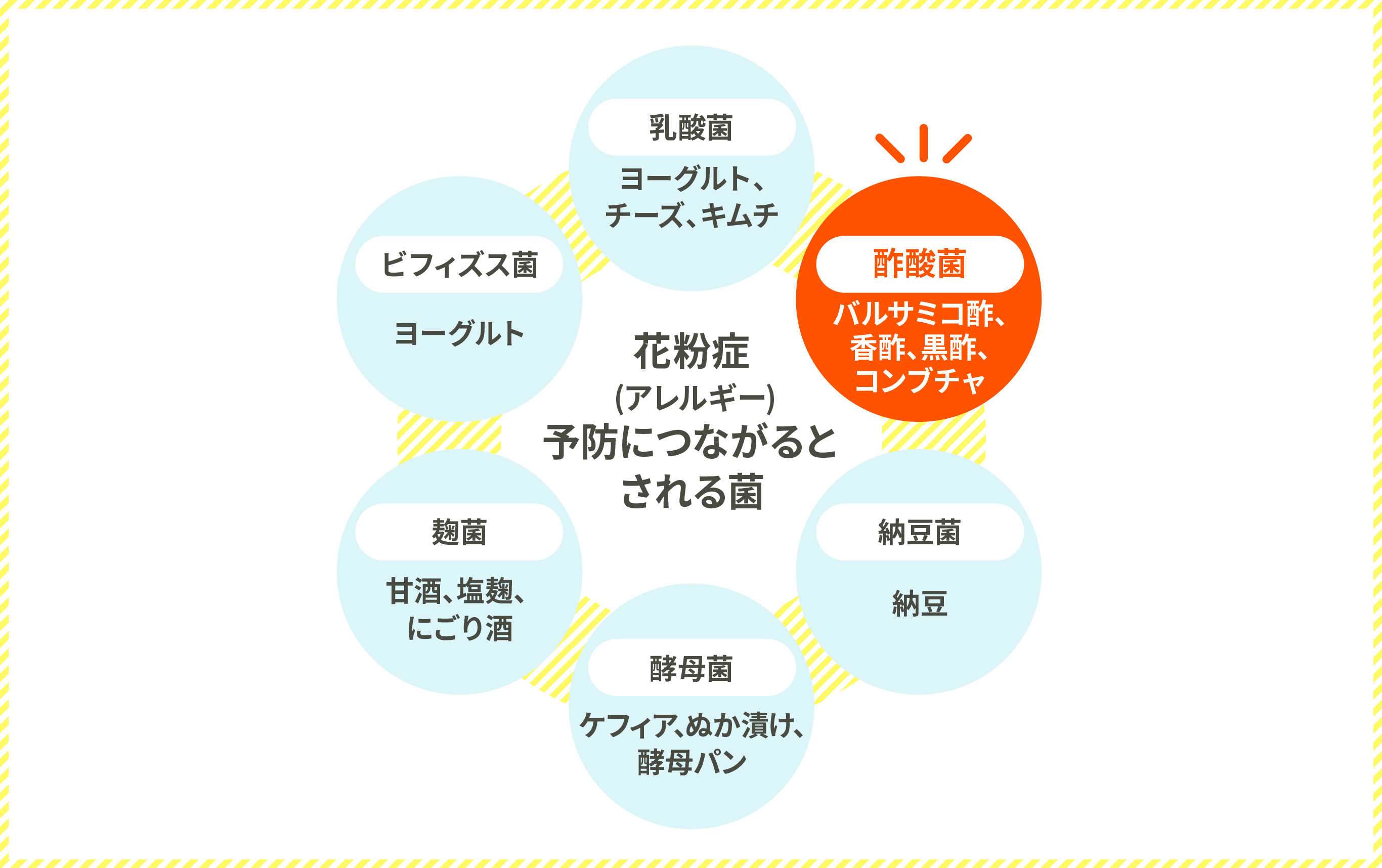 花粉症（アレルギー）予防につながるとされる菌