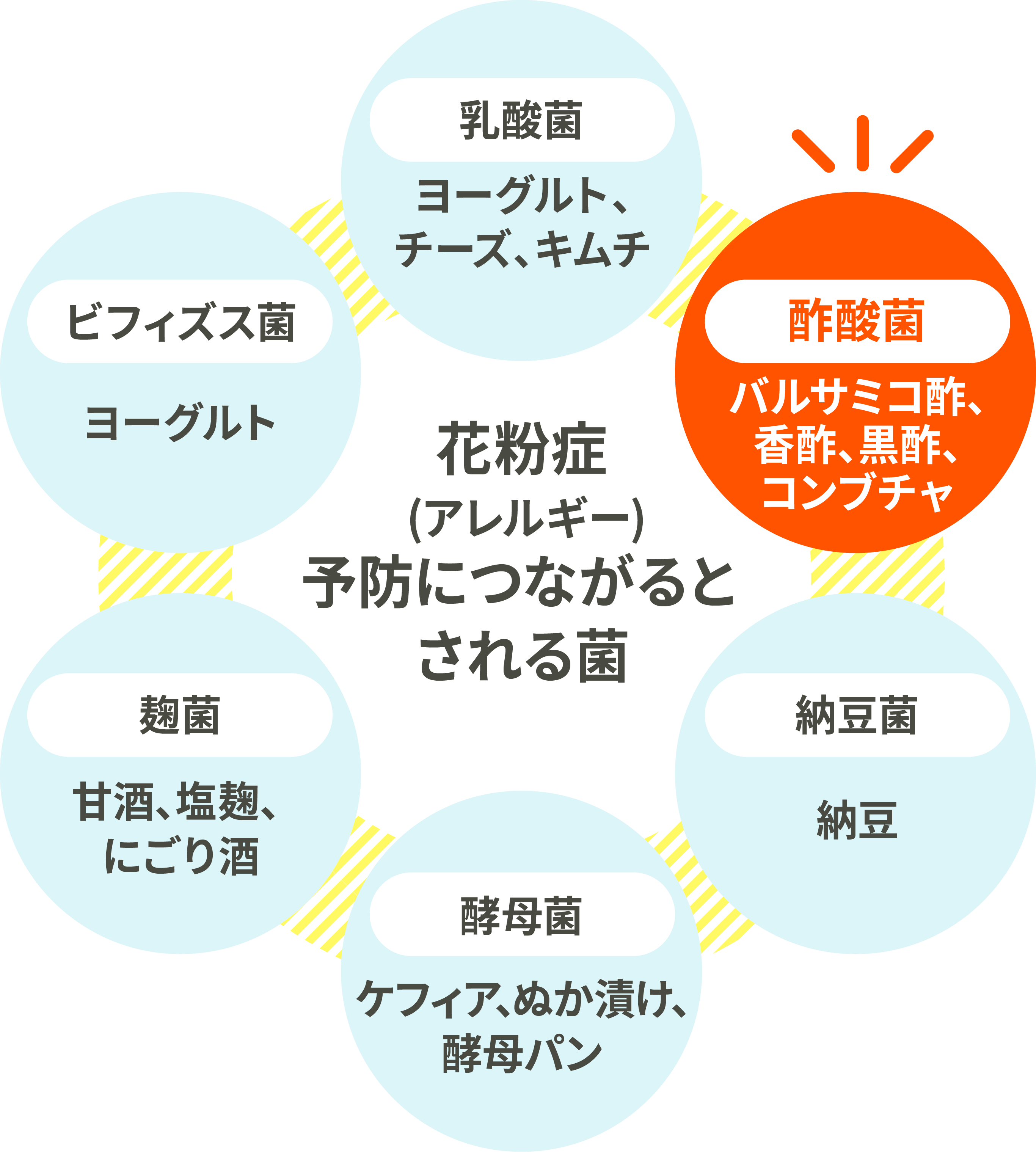 花粉症（アレルギー）予防につながるとされる菌