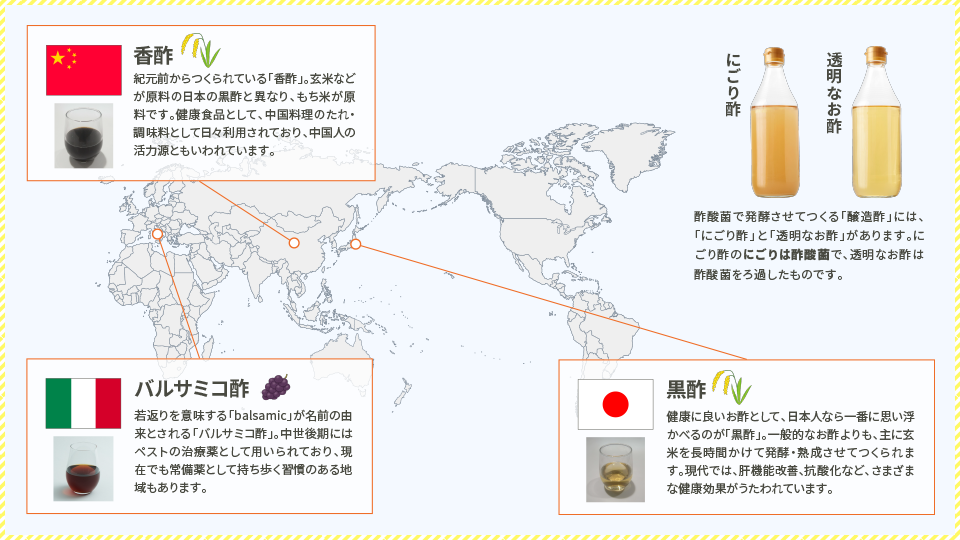 世界の伝統的な健康酢に「酢酸菌」あり