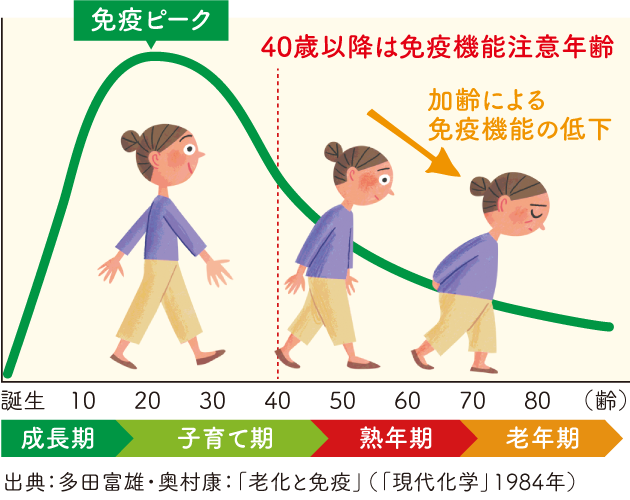 老化と免疫に関するグラフ。40歳以降は免疫機能注意年齢で、それ以降加齢による免疫機能の低下が進む。