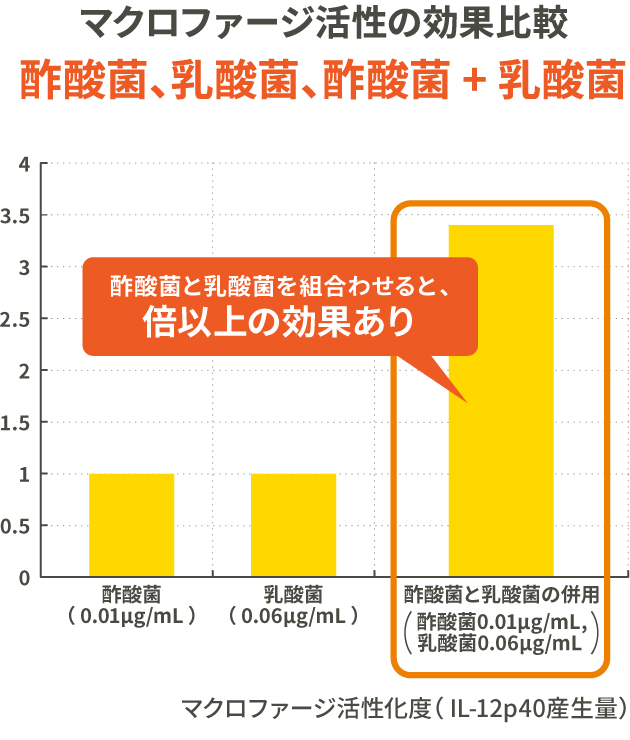 マクロファージ活性の効果比較 酢酸菌、乳酸菌、酢酸菌+乳酸菌