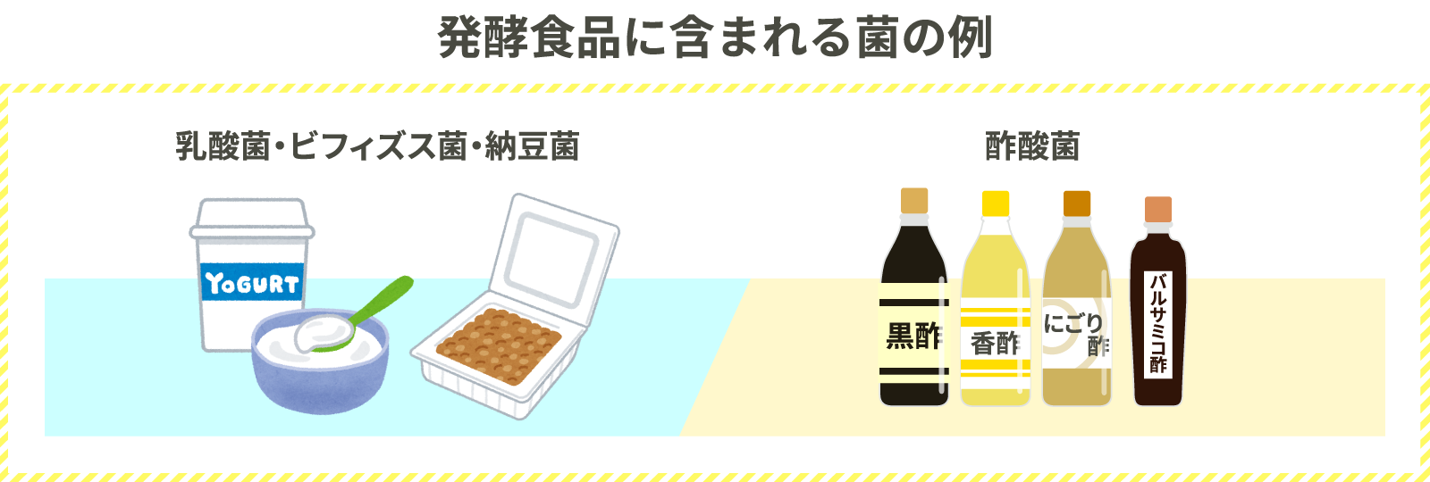 発酵食品に含まれる菌の例